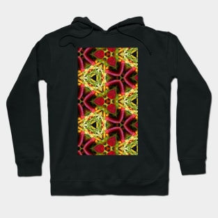 Chili Cover 4 Hoodie